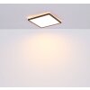 Globo SAPANA Lámpara de Techo LED Negro, 1 luz