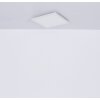 Globo SAPANA Lámpara de Techo LED Blanca, 1 luz