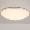 Brilliant Fakir Lámpara de techo o pared LED Blanca, 1 luz