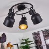 Juliboy Lámpara de Techo Negro, 3 luces
