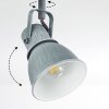 Susu Lámpara de Techo Gris, 3 luces
