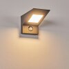 Matlava Aplique para exterior LED Antracita, Blanca, 1 luz, Sensor de movimiento