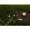 Lucide FJARA Lámpara de mesa LED Negro, 1 luz