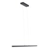 Steinhauer Light Stripe Lámpara Colgante LED Negro, 1 luz