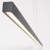 Steinhauer Light Stripe Lámpara Colgante LED Negro, 1 luz