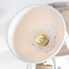 Steinhauer Gearwood Lámpara de Techo Marrón, Blanca, 3 luces