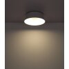 Globo CROTONE Lámpara de Techo LED Blanca, 1 luz, Mando a distancia