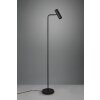 Trio Marley Lámpara de Pie Negro, 1 luz