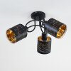 Bathinda Lámpara de Techo Negro, 3 luces