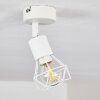 Baripada Lámpara de Techo Blanca, 1 luz