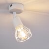 Baripada Lámpara de Techo Blanca, 1 luz