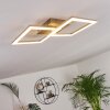 Batuna Lámpara de Techo LED Níquel-mate, 1 luz
