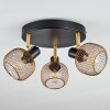 Pipisu Lámpara de Techo dorado, Latón, Negro, 3 luces