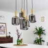 Maliali Lámpara Colgante dorado, Latón, Negro, 5 luces