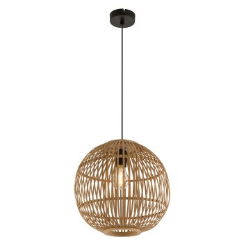 Globo HILDEGARD Lámpara Colgante Negro, 1 luz