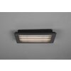 Trio Hardey Aplique para exterior LED Antracita, 1 luz
