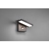 Trio Horton Aplique para exterior LED Antracita, 1 luz, Sensor de movimiento