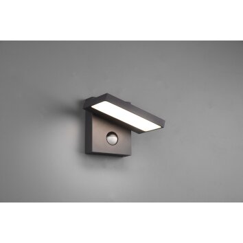 Trio Horton Aplique para exterior LED Antracita, 1 luz, Sensor de movimiento