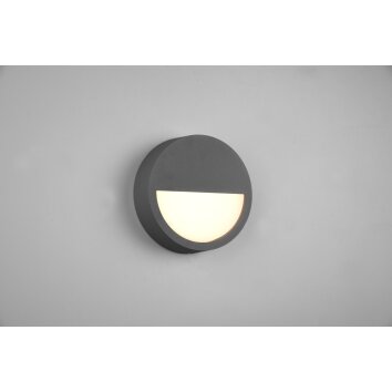 Trio Pedro Aplique para exterior LED Antracita, 1 luz