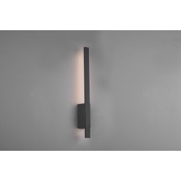 Trio Tawa Aplique para exterior LED Antracita, 1 luz