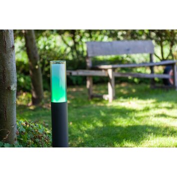 Lutec DROPA Poste de Jardín LED Antracita, 1 luz, Cambia de color