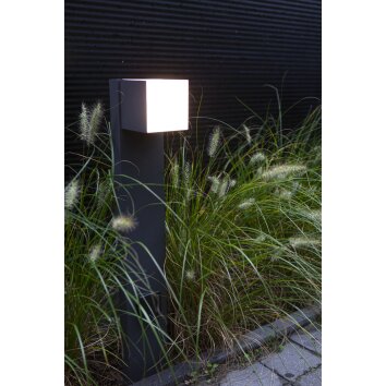 Lutec CUBA Poste de Jardín LED Antracita, 1 luz