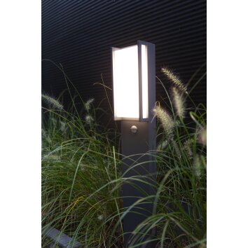 Lutec QUBO Poste de Jardín LED Antracita, 1 luz, Sensor de movimiento