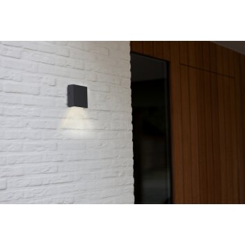 Lutec GEMINI Aplique para exterior LED Antracita, 1 luz