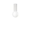 Ideallux PETIT Lámpara de Techo Blanca, 1 luz