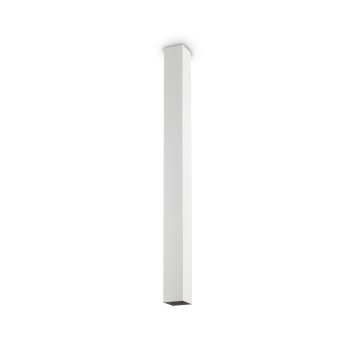 Ideallux SKY Lámpara de Techo Blanca, 1 luz