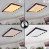 Boyero Panel LED Negro, 1 luz