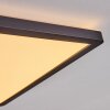 Boyero Panel LED Negro, 1 luz