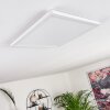 Boyero Panel LED Blanca, 1 luz