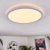 Boyero Panel LED Blanca, 1 luz