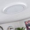 Canditas Lámpara de Techo LED Blanca, 1 luz