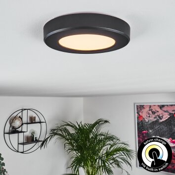 Canditas Panel LED Negro, 1 luz