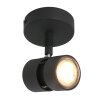 Steinhauer Natasja Lámpara de Techo LED Negro, 1 luz