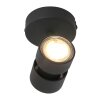Steinhauer Natasja Lámpara de Techo LED Negro, 1 luz