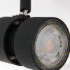 Steinhauer Natasja Lámpara de Techo LED Negro, 2 luces