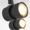 Steinhauer Natasja Lámpara de Techo LED Negro, 4 luces