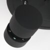 Steinhauer Natasja Lámpara de Techo LED Negro, 3 luces