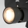 Steinhauer Natasja Lámpara de Techo LED Negro, 3 luces