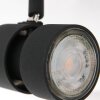 Steinhauer Natasja Lámpara de Techo LED Negro, 6 luces