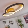 Baiyin Lámpara de Techo LED dorado, 1 luz