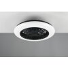 Reality Stralsund Ventilador de techo LED Negro, 1 luz, Mando a distancia