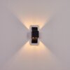 Baltimore Aplique Negro, 1 luz