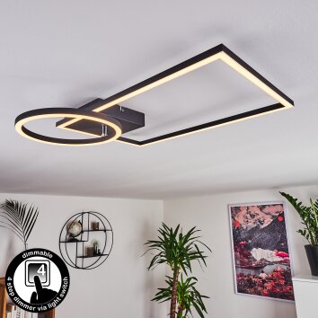 Moya Lámpara de Techo LED Negro, 1 luz