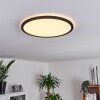 Boyero Lámpara de Techo LED Negro, 1 luz