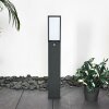 Skove Poste de Jardín LED Antracita, 1 luz, Sensor de movimiento