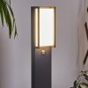 Skove Poste de Jardín LED Antracita, 1 luz, Sensor de movimiento